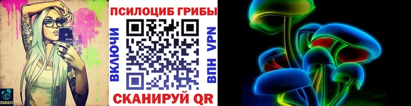 Псилоцибиновые грибы Cubensis мега ТОР Ессентуки как найти